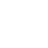 Corporate Icon